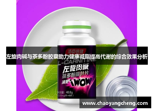 左旋肉碱与茶多酚胶囊助力健康减脂提高代谢的综合效果分析