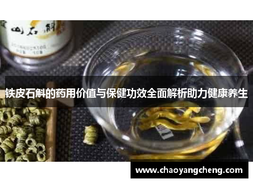 铁皮石斛的药用价值与保健功效全面解析助力健康养生